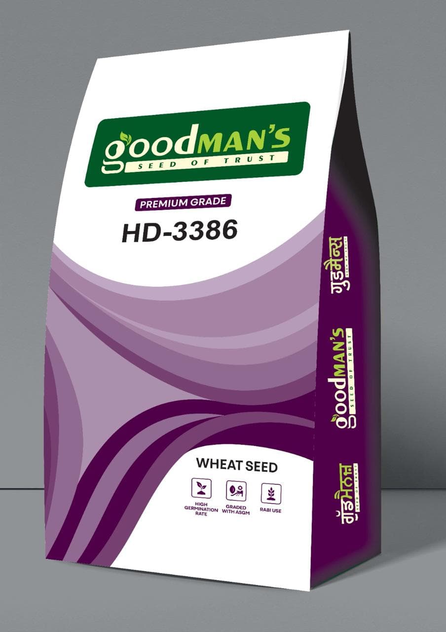 Wheat(HD-3386)